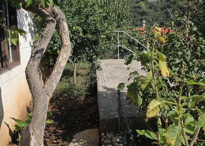 9315a Apartmán Zavalatica