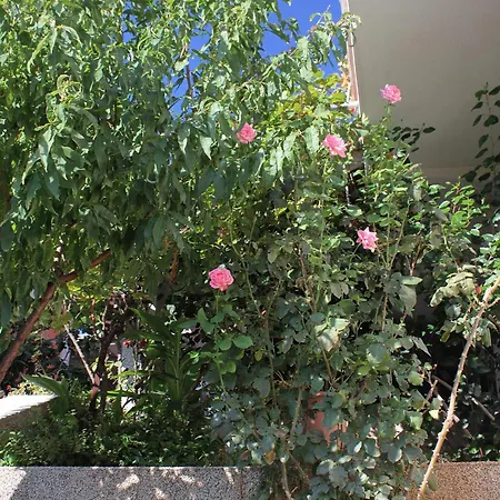 9315a Apartman Zavalatica