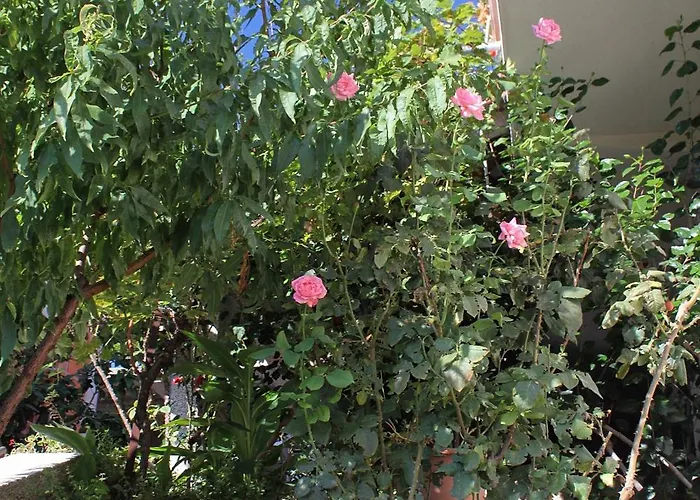 9315a Apartman Zavalatica